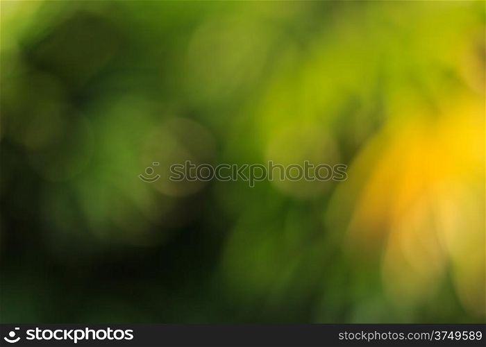Natural green bokeh abstract light background.