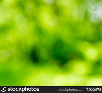 Natural green bright blur background of sunny summer forest