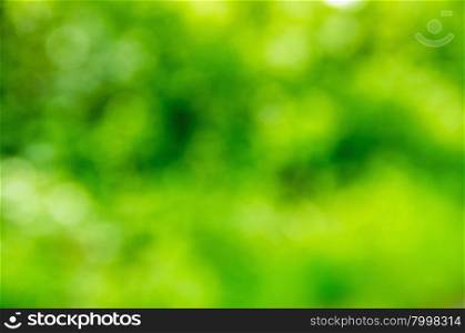 Natural green bright blur background of sunny summer forest