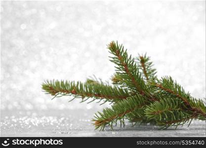 Natural green christmas tree branch on shiny silver background