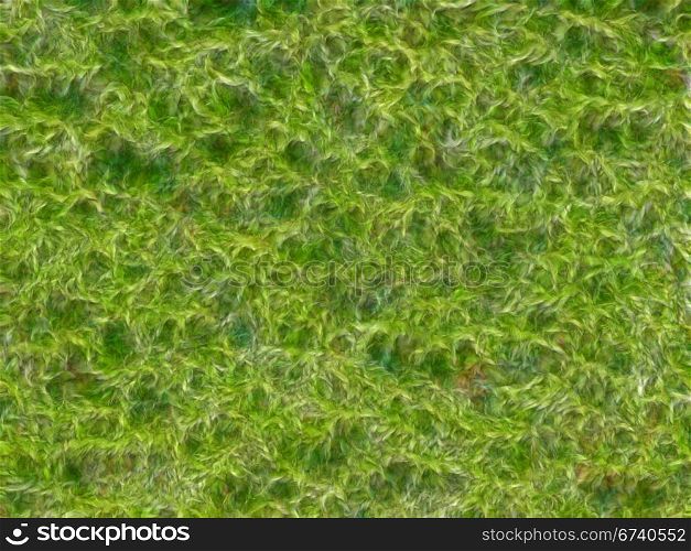 Natural Green Grass and Leaves Textured Background or Wallpaper