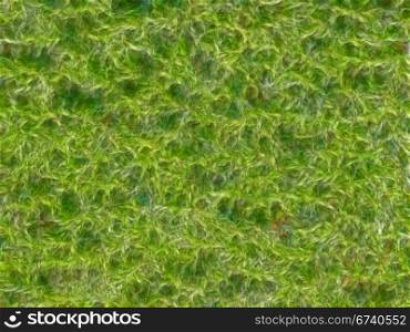 Natural Green Grass and Leaves Textured Background or Wallpaper