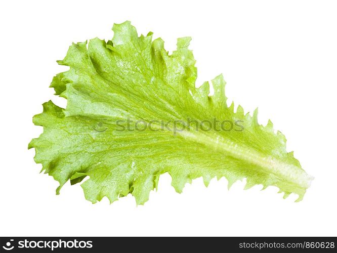 natural green leaf of leaf lettuce isolated on white background