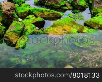 Natural green moss at beach rock with blue sea at Ly Son island, vietnam