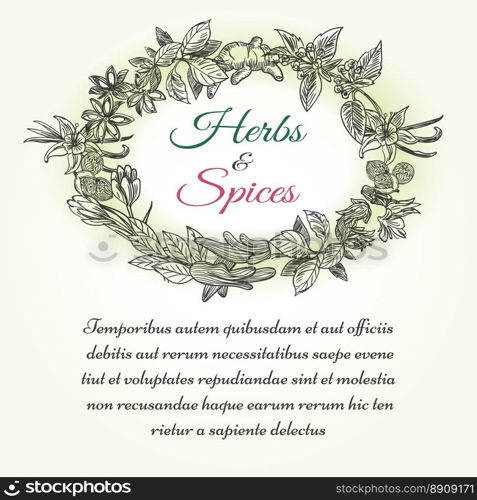 Natural herbal seasonings frame with text. Natural herbal seasonings frame with text for health lifestyle vector design