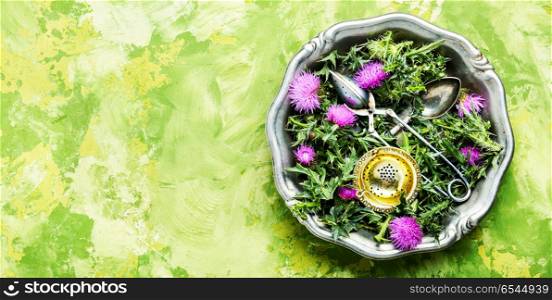 Natural herbs medicine. healing herbs thistle in mortar.Herbal medicine.Tea.Onopordum.Thistle.Natural herbal medicine