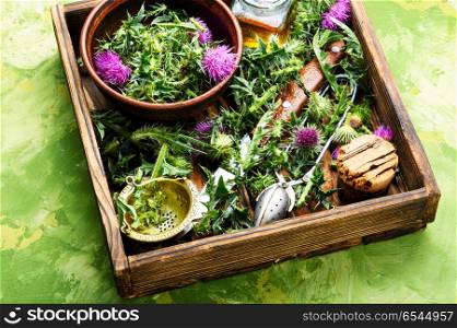 Natural herbs medicine. Wild healing herbs thistle in mortar.Herbal medicine.Onopordum.Thistle.Natural herbal medicine