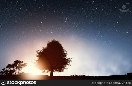 Natural landscape. Natural scene with silhouette of tree against sunset light