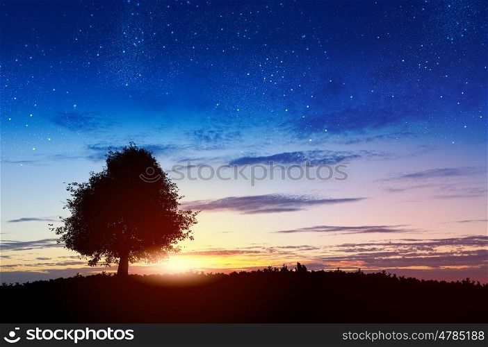 Natural landscape. Natural scene with silhouette of tree against sunset light