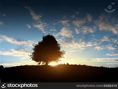 Natural landscape. Natural scene with silhouette of tree against sunset light