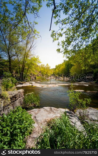 Natural landscape of beautiful river in forest at summer
