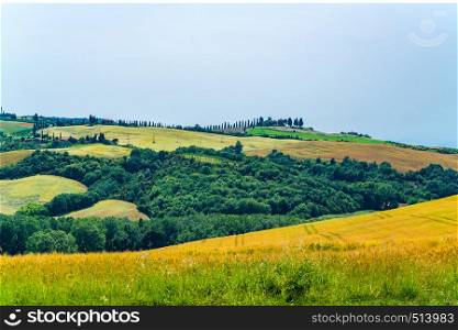 Natural landscape of hilly Tuscany with the line of Cypressws, the Italian houses, the cultivated land and Vineyards lin Valdorcia Italy