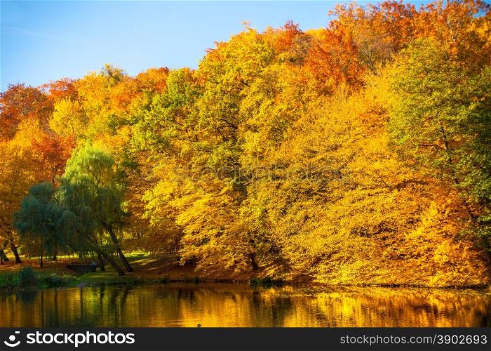 Natural landscape. View from shore of the lake or river water and beauty autumn orange trees on the other side.