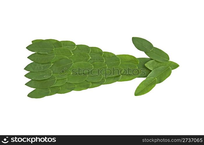 Natural leaf arrow. Leaf made. Isolated on white