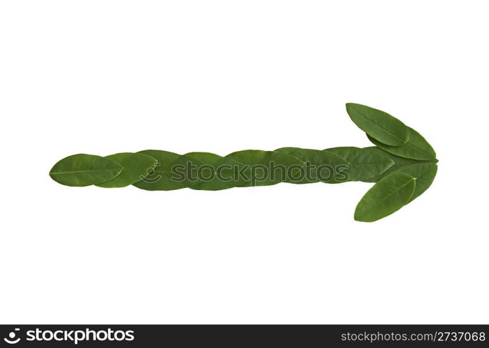 Natural leaf arrow. Leaf made. Isolated on white