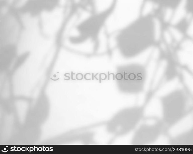 Natural leaf shadow on white concrete wall background.