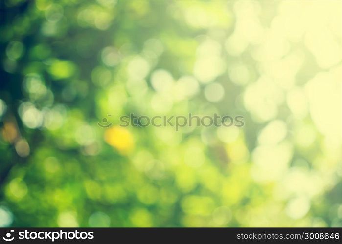 Natural light, green blurred for abstract background.