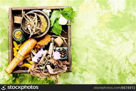 Natural medicine, herbs and plant. Natural herbal medicine,medicinal herbs and herbal medicinal root.Natural herbs medicine