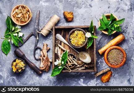 Natural medicine, herbs and plant. Natural herbal medicine,medicinal herbs and herbal medicinal root.Natural herbs medicine.Healing herbs