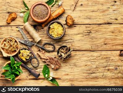 Natural medicine, herbs and plant. Natural herbal medicine,medicinal herbs and herbal medicinal root.Natural herbs medicine