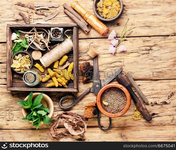 Natural medicine, herbs and plant. Natural herbal medicine,medicinal herbs and herbal medicinal root.Natural herbs medicine.Healing herbs