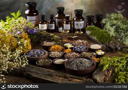 Natural medicine on wooden table background. Fresh medicinal, healing herbs on wooden