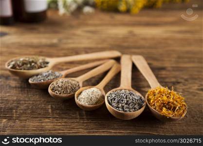 Natural medicine on wooden table background. Herbal medicine on wooden desk background