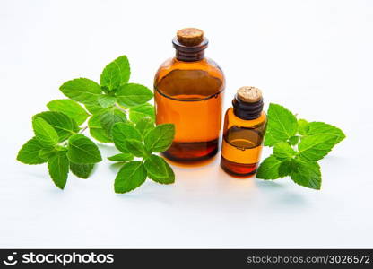 Natural Mint Essential Oil in a Glass Bottle with Fresh Mint Leaves on white background.