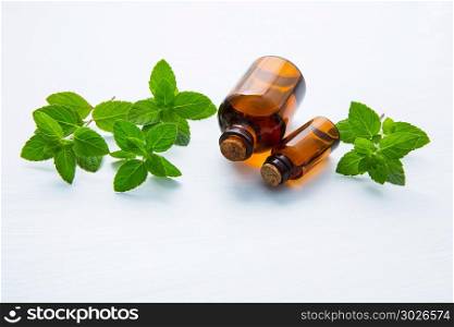Natural Mint Essential Oil in a Glass Bottle with Fresh Mint Leaves on white background.