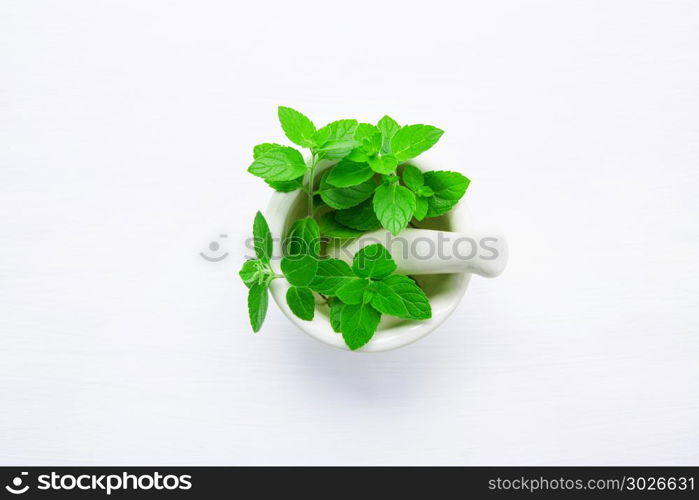 Natural Mint Essential Oil in a Glass Bottle with Fresh Mint Leaves on white background.