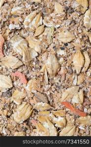  natural  muesli  background with barley and carrot. for horse. 