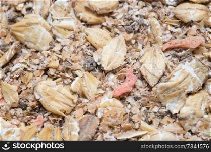  natural  muesli  background with barley and carrot. for horse.  macro shot