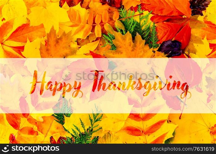 Natural multicolored fall leaves textured background, top view with happy thanksgiving greetings. Natural fall leaves background