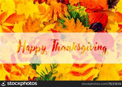 Natural multicolored fall leaves textured background, top view with happy thanksgiving greetings. Natural fall leaves background