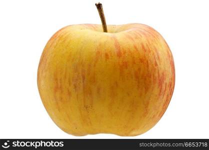 Natural multicoloured apple isolated on white background; 