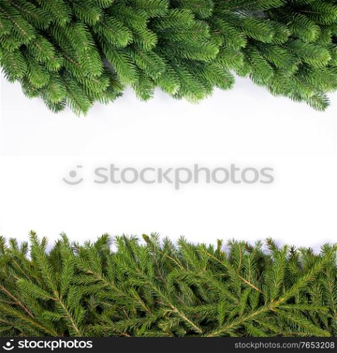 Natural noble and classic fir Christmas tree border frame isolated on white , copy space for text. Fir tree branch frame on white