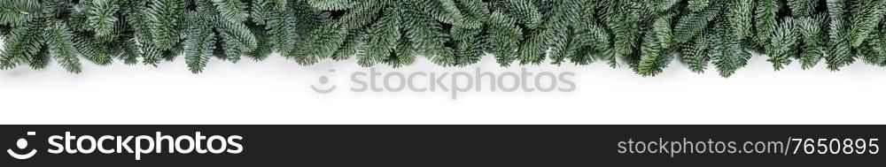 Natural noble fir Christmas tree border frame isolated on white , copy space for text. Fir tree branch frame on white