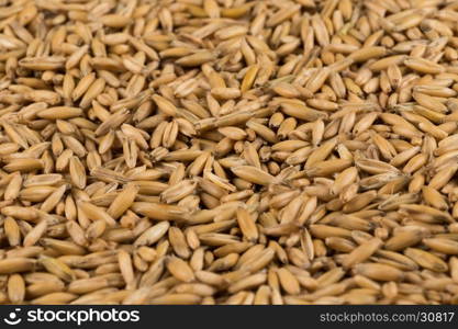 natural oat grains for background, close up shot