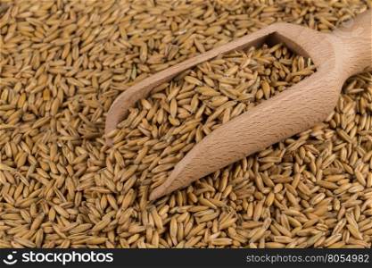 natural oat grains in scoop for background, close up shot