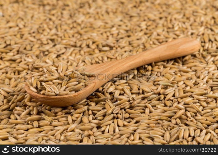 natural oat grains in spoon for background, close up shot