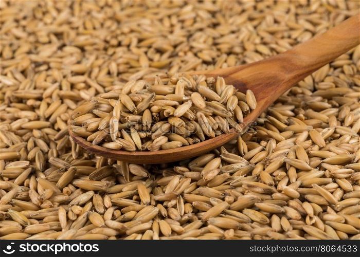 natural oat grains in spoon for background, close up shot