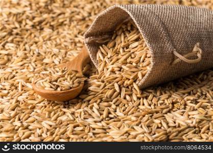 natural oat grains in spoon for background, close up shot