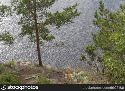 Natural of Russia. A lake with pine trees on the shore. The