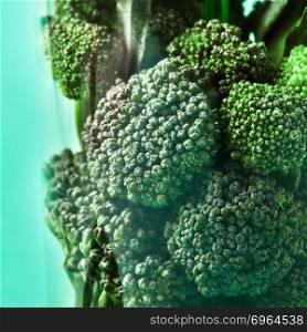 Natural organic background with close-up floats of green broccoli on a green paper. Concept of natural homemade fresh juicy.. Close-up of raw green natural broccoli floats in a plastic glass on a light green background.