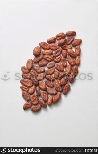 Natural organic cocoa peas in the shape of big bean on a light grey background with soft shadows, copy space. Top view.. Big bean from freshly dried natural cocoa peas.