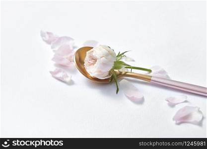 Natural organic fresh pink rose flower in the golden dessert spoon with tender petals on a light grey background, copy space. Valentine&rsquo;s day greeting card.. Dessert spoon with roses and petals.