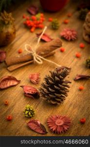 Natural ornaments for Christmas: red fruits, pomegranates, cinnamon sticks ...