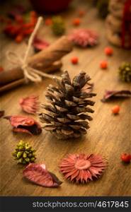 Natural ornaments for Christmas: red fruits, pomegranates, pineapple, cinnamon sticks ...
