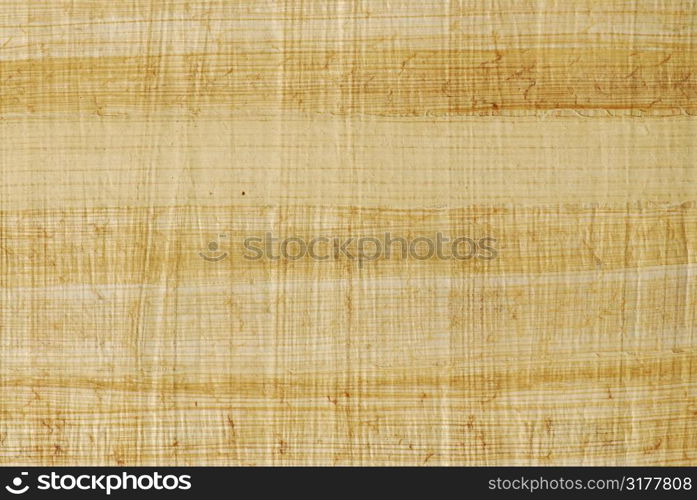 Natural papyrus background