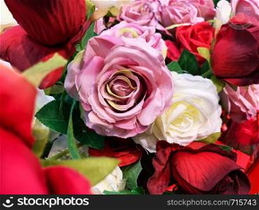 Natural pink roses
